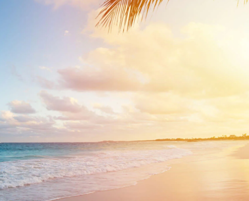 Dead Reckoning Barbados PX Header