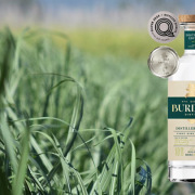 Burdekin First Giru Header 3 Burdekin First Giru Distillers Edition
